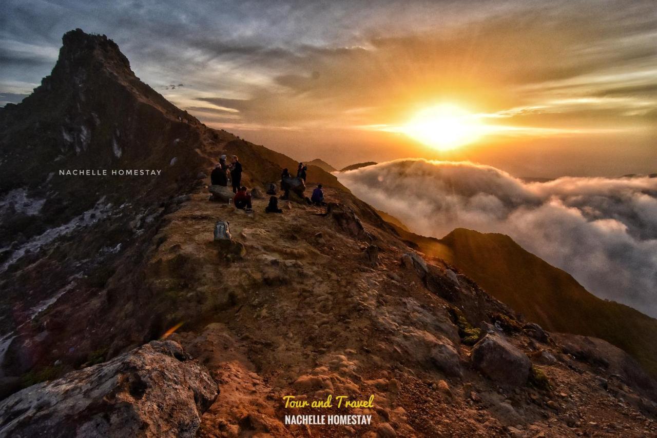 بيراستاغي Nachelle Homestay المظهر الخارجي الصورة